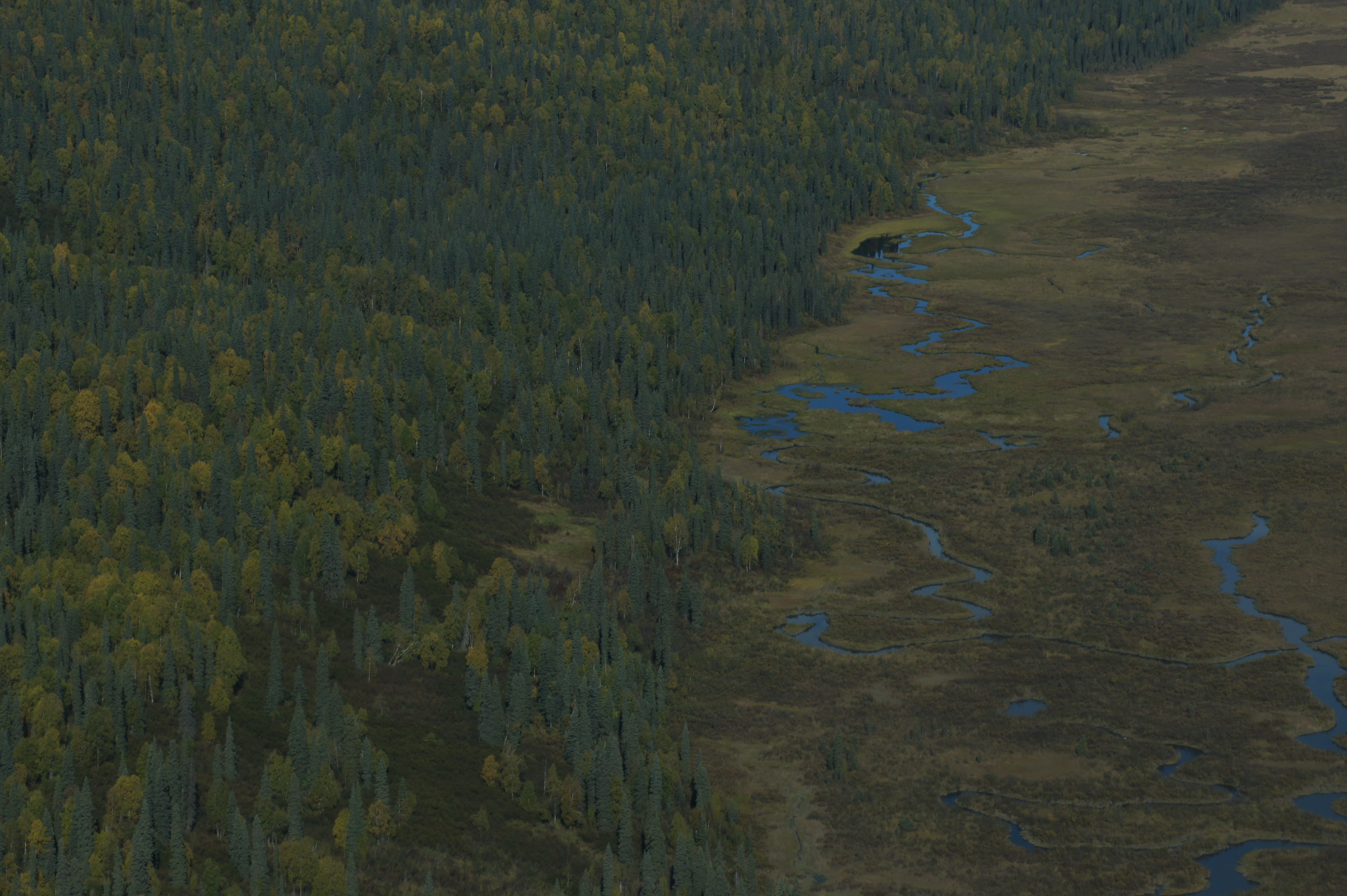 Click to return to the thumbnail index